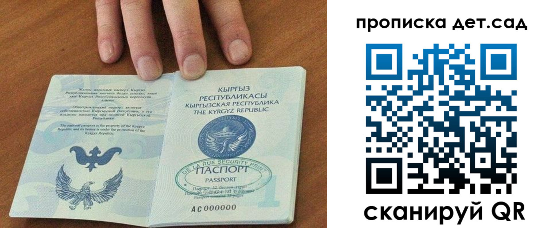 прописка гарантия в Волгограде